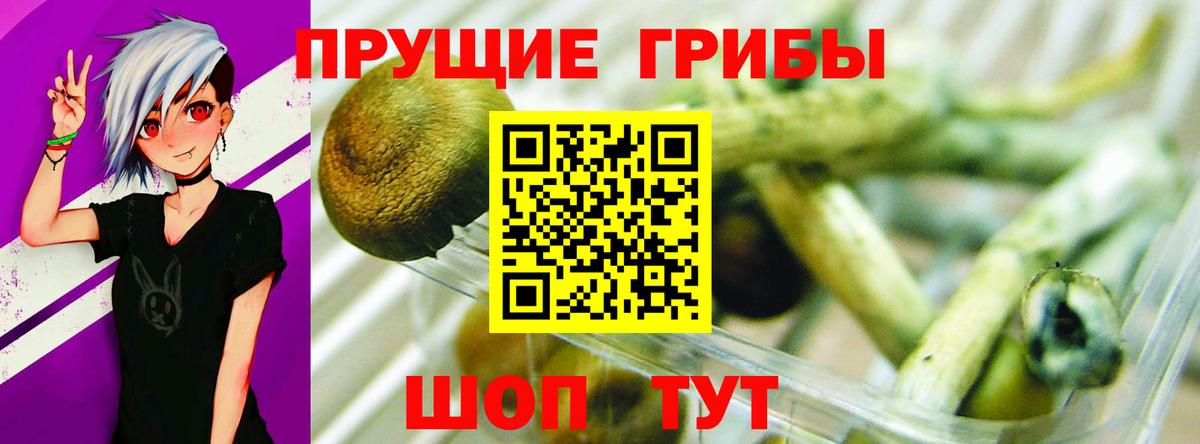 Ревда  Псилоцибиновые грибы Cubensis  Галлюциногенные грибы ЛСД  Вход с VPN 